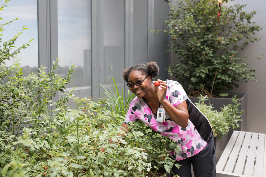 Mental Health Rooftop Garden