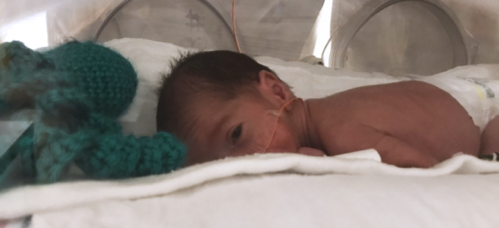Born weighing only 816 grams, baby Harvie is thriving thanks to Humber’s NICU
