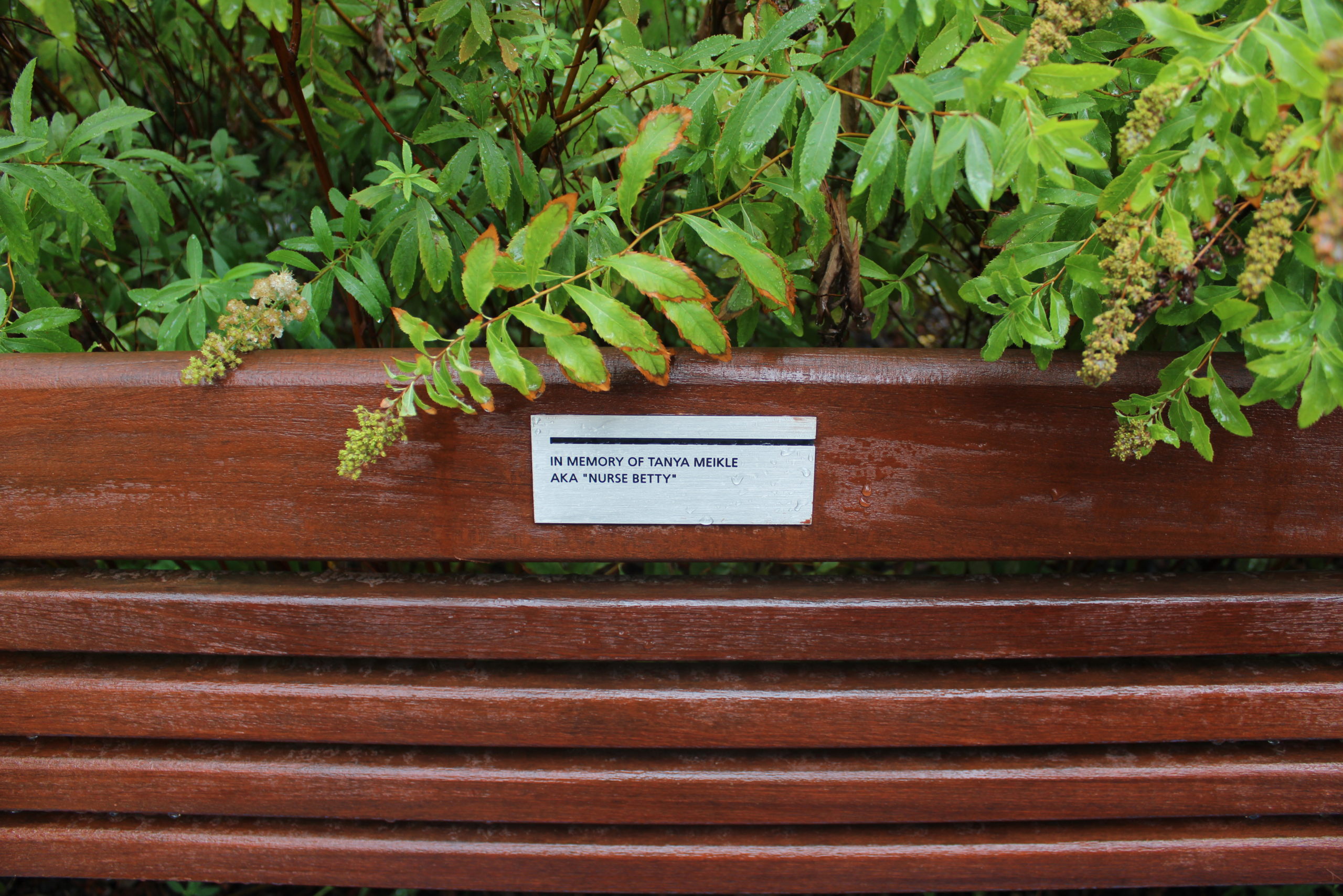 Tanya's Bench. The Inscription Reads: In Memory of Tanya Meikle, AKA Nurse Betty